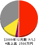 松野建工 損益計算書 2009年12月期