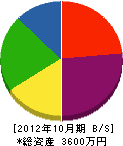 黒川エンジニアリング 貸借対照表 2012年10月期