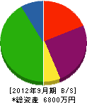 岡田ペインター 貸借対照表 2012年9月期