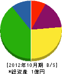 宮崎興業 貸借対照表 2012年10月期