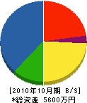 大渕工業 貸借対照表 2010年10月期