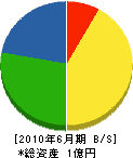 飯塚水道工務店 貸借対照表 2010年6月期