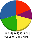 埼玉緑土 貸借対照表 2009年10月期