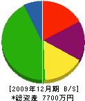 西垣工業 貸借対照表 2009年12月期