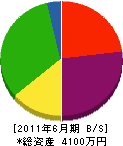 鈴木建装 貸借対照表 2011年6月期