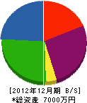 辻本土木 貸借対照表 2012年12月期