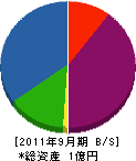 新田理研 貸借対照表 2011年9月期