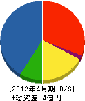 菊地建業 貸借対照表 2012年4月期