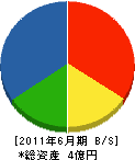 早田工務店 貸借対照表 2011年6月期