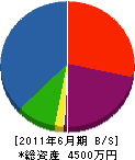 福井修景 貸借対照表 2011年6月期