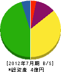 西田組 貸借対照表 2012年7月期