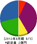 田中ポンプ製作所 貸借対照表 2012年4月期