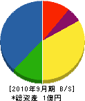 佐々木塗装店 貸借対照表 2010年9月期