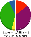 九州商役 貸借対照表 2008年10月期