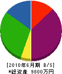 大阪装飾 貸借対照表 2010年6月期