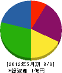 坂田ガス住設 貸借対照表 2012年5月期
