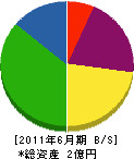 松村工務店 貸借対照表 2011年6月期
