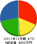 藤ノ川建設 貸借対照表 2011年12月期