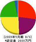 川島製作所 貸借対照表 2009年5月期