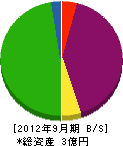 沢田工業 貸借対照表 2012年9月期