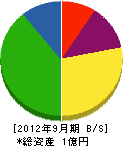 斉藤緑地建設 貸借対照表 2012年9月期
