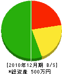 佐藤住研 貸借対照表 2010年12月期