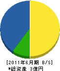 辻組 貸借対照表 2011年6月期