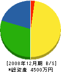 鈴木健治 貸借対照表 2008年12月期