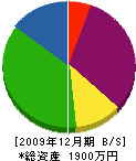 キムラ建匠 貸借対照表 2009年12月期