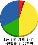 丸山電気商会 貸借対照表 2013年1月期