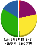 石井電気商会 貸借対照表 2012年3月期
