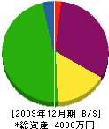 清崎建設 貸借対照表 2009年12月期