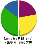 大功電工社 貸借対照表 2012年7月期