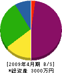 大塚塗装 貸借対照表 2009年4月期