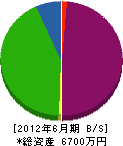 上野ガラス 貸借対照表 2012年6月期