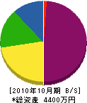 川村工業所 貸借対照表 2010年10月期
