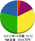 森田組 貸借対照表 2012年10月期