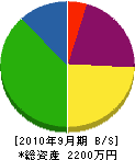 飯田造園 貸借対照表 2010年9月期