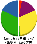 昭永緑化 貸借対照表 2010年12月期