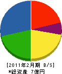 カユカワ 貸借対照表 2011年2月期