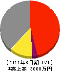 菅憲土木 損益計算書 2011年6月期