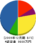 渡瀬建設 貸借対照表 2009年12月期