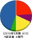 本川建設 貸借対照表 2010年5月期