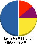 辰雄組 貸借対照表 2011年5月期
