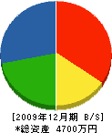 藤垣電気商会 貸借対照表 2009年12月期