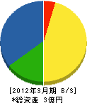 豊和大和店 貸借対照表 2012年3月期