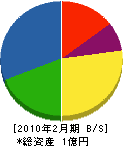 斎藤鉄工所 貸借対照表 2010年2月期