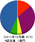 立川電設 貸借対照表 2011年10月期