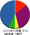 立川電設 貸借対照表 2012年10月期
