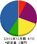 富山鉱山 貸借対照表 2012年12月期